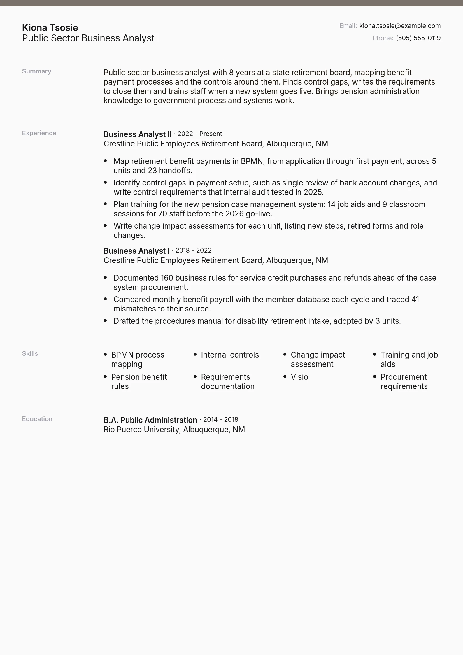Public Sector Business Analyst